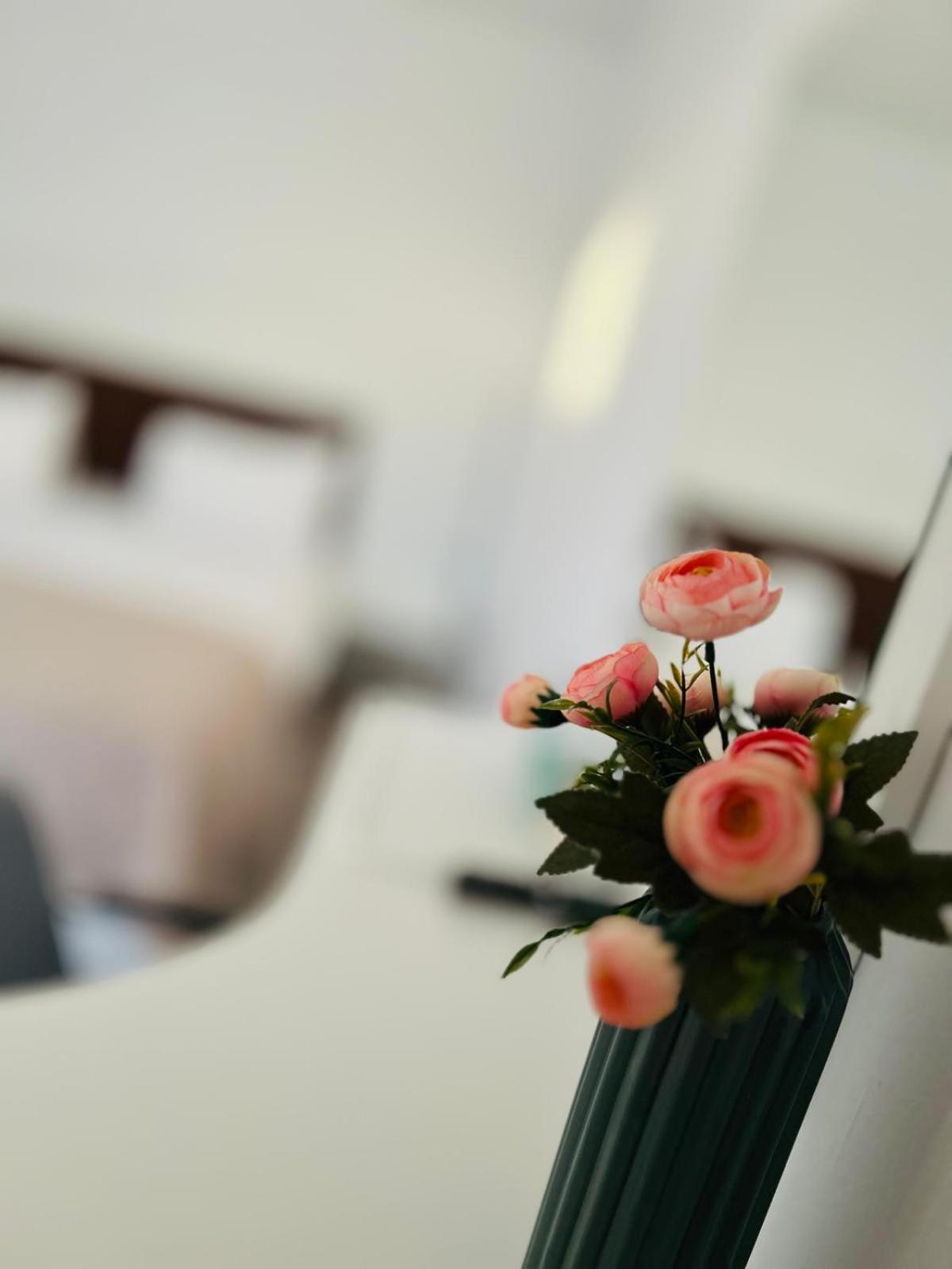 Casa Irina 2Mai 호텔 Două Mai 외부 사진